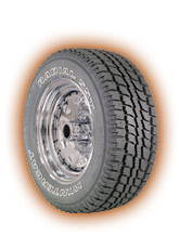 Wintercat Radial SST